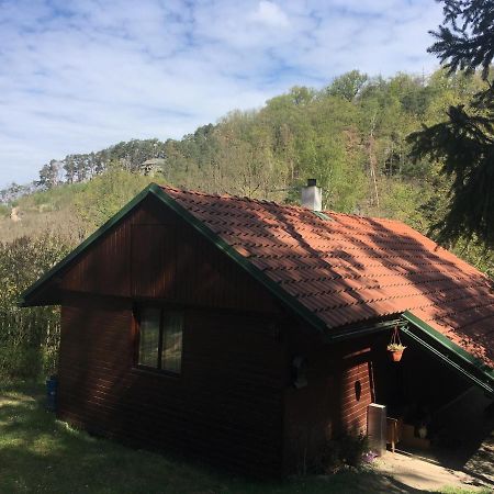 Villa Chata U Certovych Hlav à Zelizy Extérieur photo
